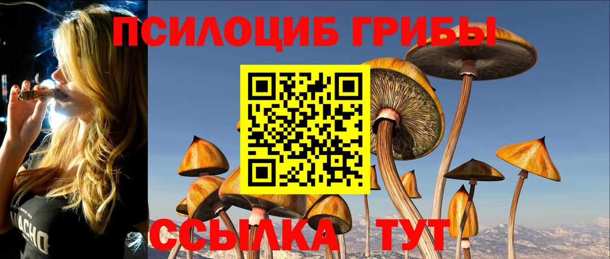 Псилоцибиновые грибы мицелий Полысаево